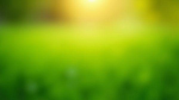 Votre avis sur grow gorgeous : efficacité et idées reçues